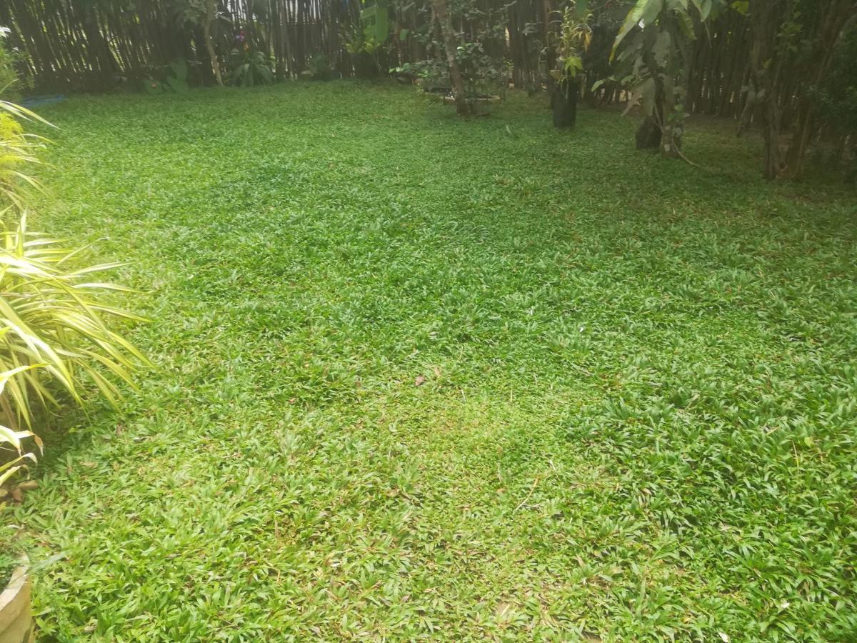 Bamboo Home Stay Hiriketiya Dikwella Eksteriør bilde