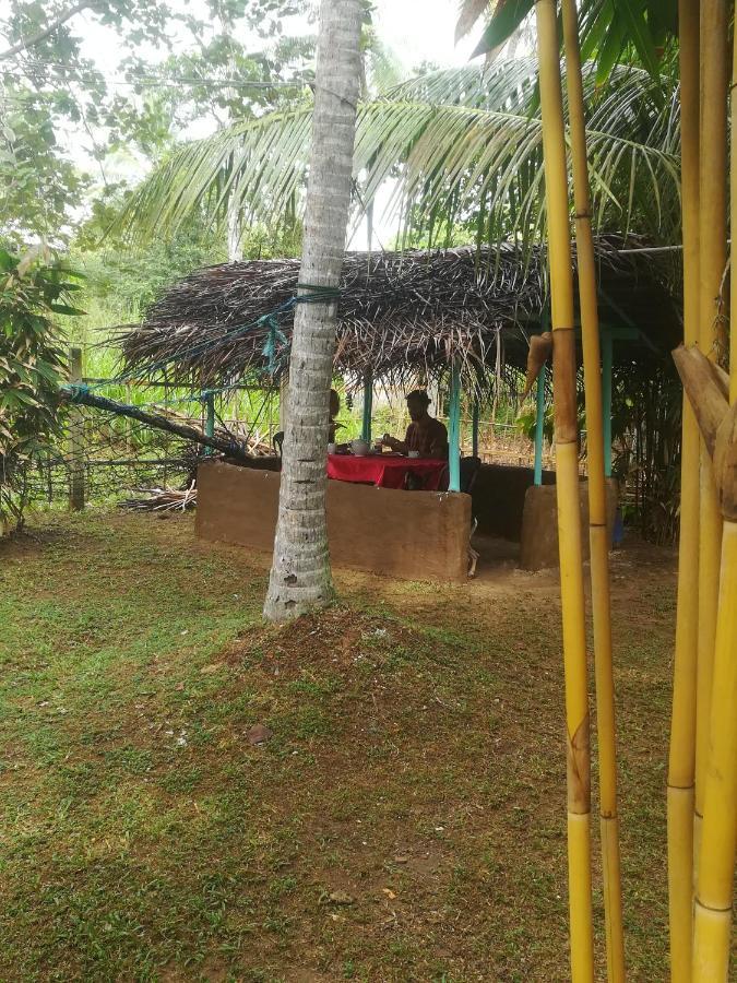 Bamboo Home Stay Hiriketiya Dikwella Eksteriør bilde