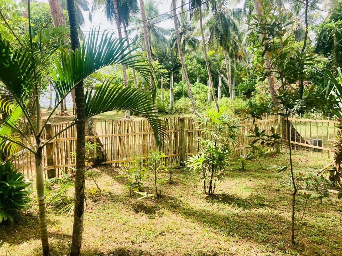Bamboo Home Stay Hiriketiya Dikwella Eksteriør bilde