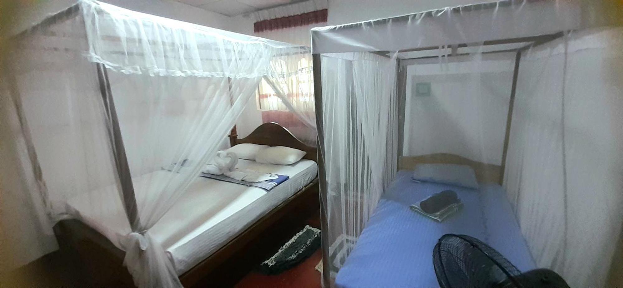 Bamboo Home Stay Hiriketiya Dikwella Eksteriør bilde